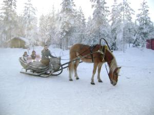 horse-sleigh-ride-through