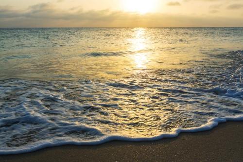 560043_10201176355269787_541026468_n