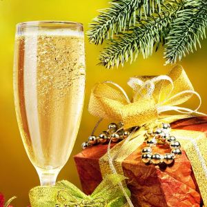 10480146_10204202720487026_9122420548958043114_n