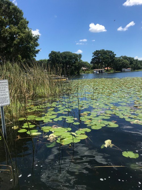 5FF7FCDD-CAD8-4F42-BB20-1B010E64394F